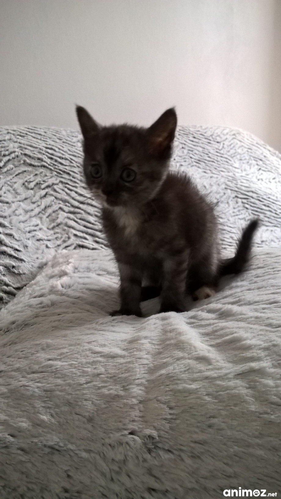 Chat sexe lot et garonne