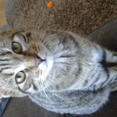 Chat gratuit lorraine