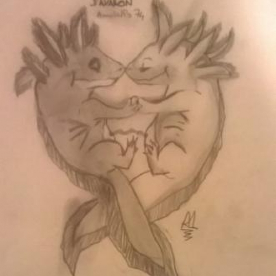 Image pour l'annonce les dragons d'avalon axolotls 74