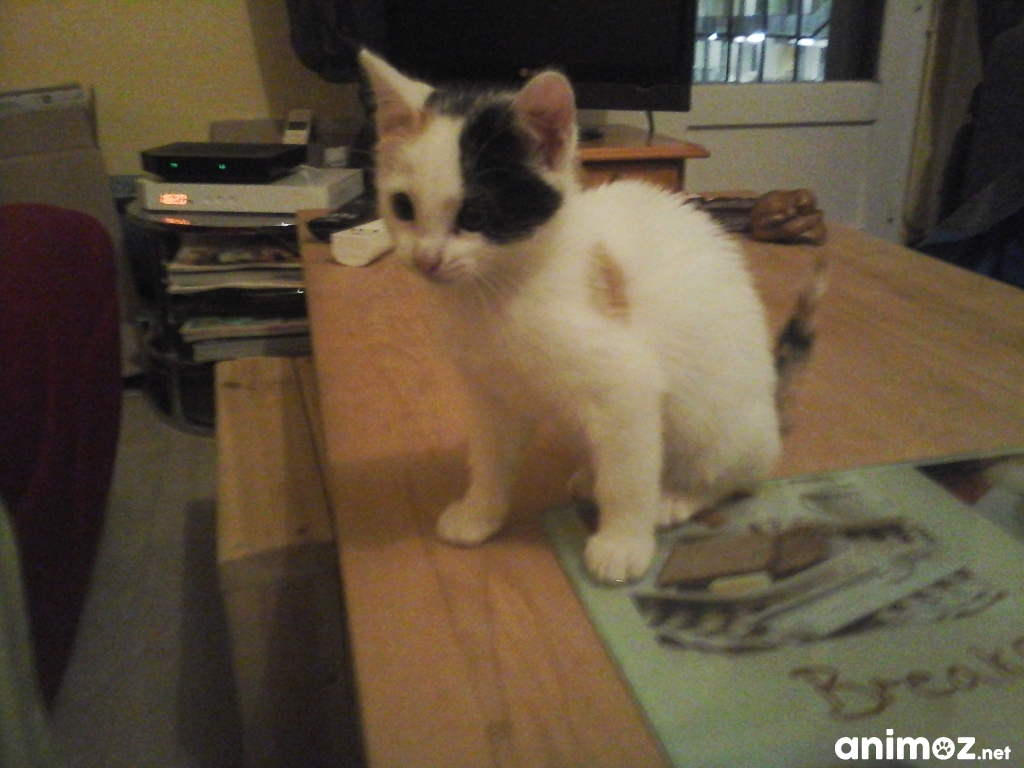 Chat sexe vernon