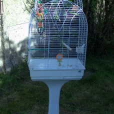 Image pour l'annonce cage  oiseaux