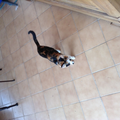 Chat gratuit 59 nord