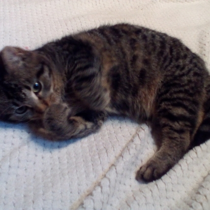 Chat sexe somme