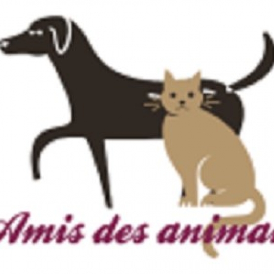 Image pour l'annonce Service mise en relation pour garde d 'animaux
