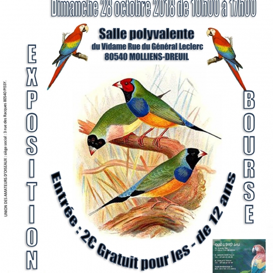 Image pour l'annonce CONCOURS EXPOSITION BOURSE AUX OISEAUX à MOLLIENS-DREUIL