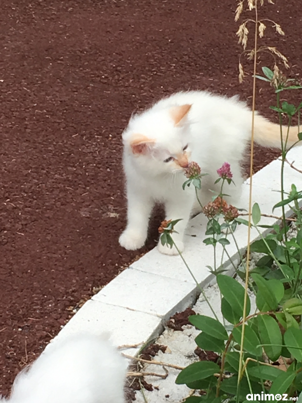 chat sexe bouches du rhone