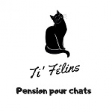 Image pour l'annonce Nouvelle pension féline Ti' Félins au Rouret