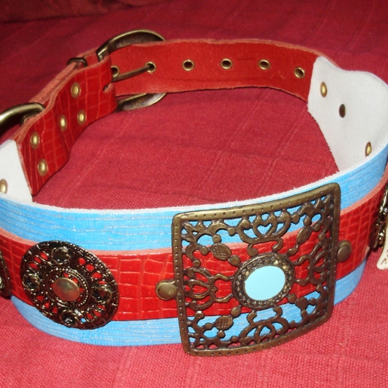 Image pour l'annonce Collier design pour grand chien