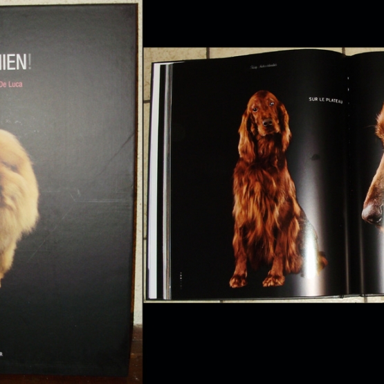 Image pour l'annonce Album Vie de Chiens