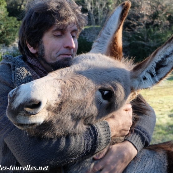 Image pour l'annonce Adorables ÂNONS type Provence... à voir !