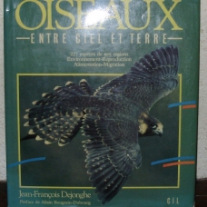 Image pour l'annonce Les Oiseaux entre ciel et terre