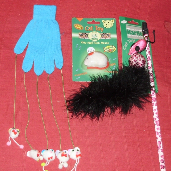 Image pour l'annonce Lot de jouets pour chat.