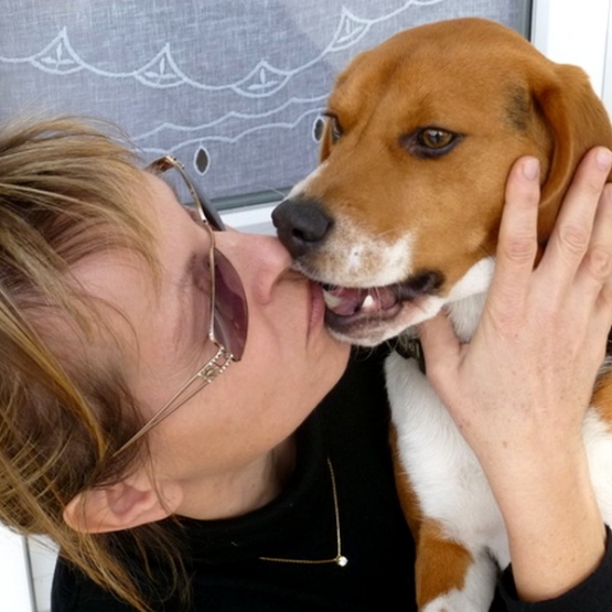 Image pour l'annonce nounou pour chiens
