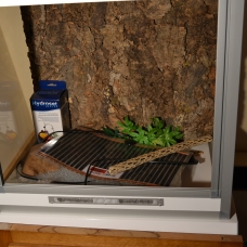 Image pour l'annonce terrarium équipé