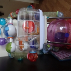 Image pour l'annonce Lot cage habitrail ovo hamster/souris