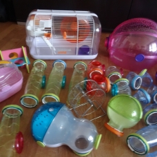 Image pour l'annonce Lot cage habitrail ovo hamster/souris