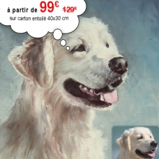 Image pour l'annonce Sylvie NICOLOSO artiste peintre animalier