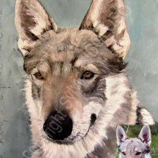 Image pour l'annonce Sylvie NICOLOSO artiste peintre animalier