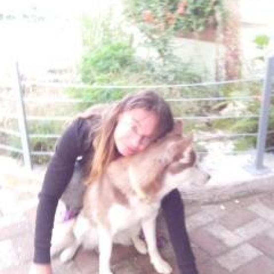 Image pour l'annonce pension pour chien