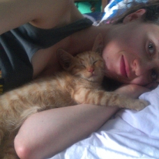 Image pour l'annonce 2 chatons à donner, urgent