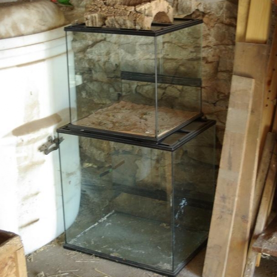Image pour l'annonce 2 terrariums