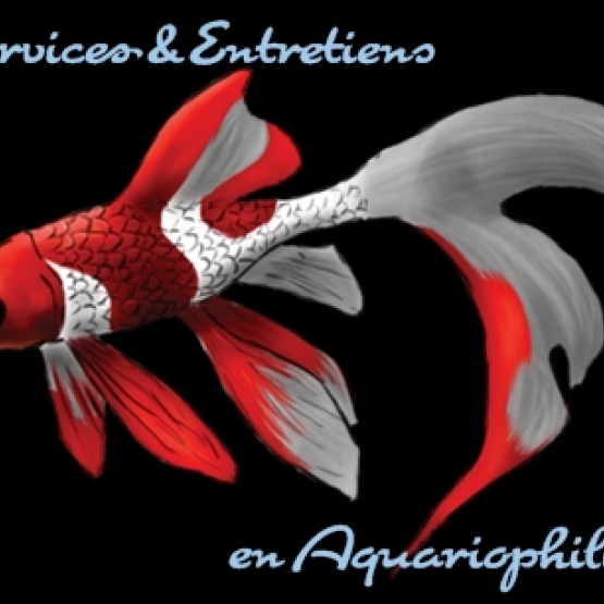 Image pour l'annonce SERVICES ET ENTRETIENS EN AQUARIOPHILIE
