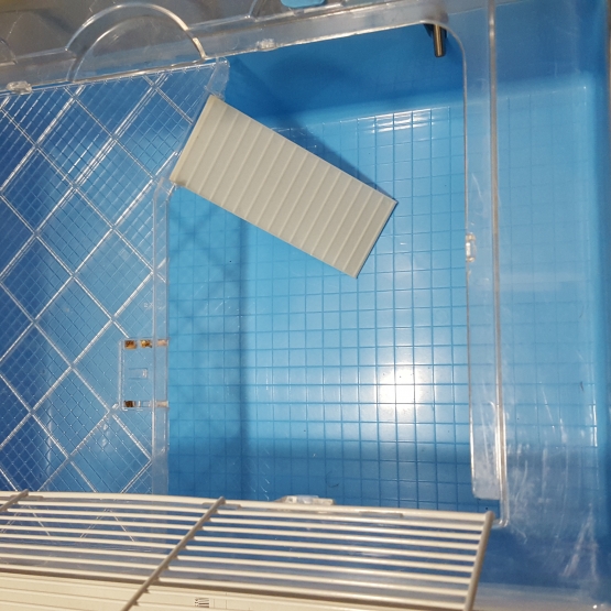 Image pour l'annonce cage rongeurs