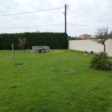 Image pour l'annonce Famille d'accueil pour chiens et rongeurs