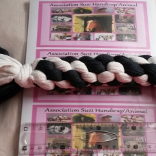 Image pour l'annonce Vend jouets pour chien fait main