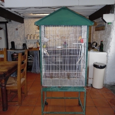 Image pour l'annonce Vends Couple de Canaris