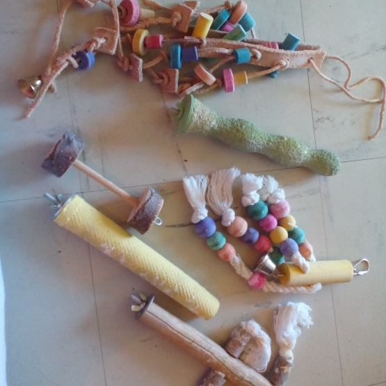 Image pour l'annonce urgent jouets,perchoirs... ois