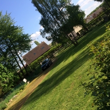 Image pour l'annonce Garde à domicile