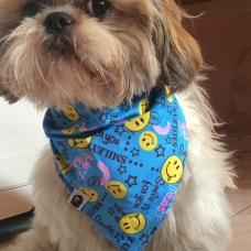 Image pour l'annonce Shih tzu cherche petite femelle