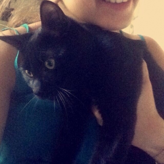 Image pour l'annonce Donne Chaton de 6 mois