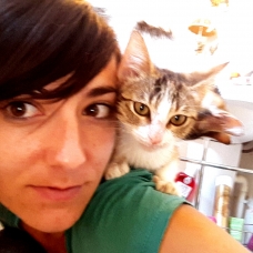 Image pour l'annonce Donne chaton