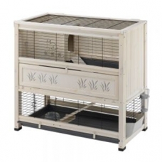 Image pour l'annonce Cherche famille pour 2 lapins nains
