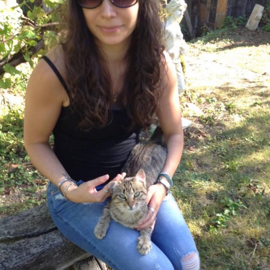 Image pour l'annonce Chatte sdf recherche famille