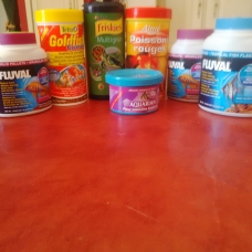 Image pour l'annonce Poissons Aquarium Fournitures