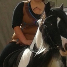 Image pour l'annonce Irish cob jument