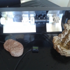 Image pour l'annonce Terrarium grande taille, idéal caméléon