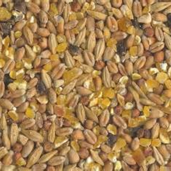 Image pour l'annonce Nourriture alimentation grain naturel pour poule lapin canard oie caille cane pintade dinde ....