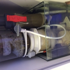 Image pour l'annonce vends aquarium marin récifal de 550l complet