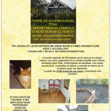 Image pour l'annonce Pension pour chats 77