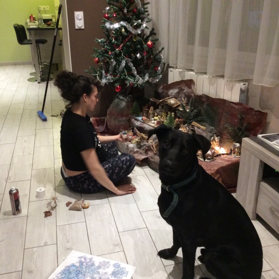 Image pour l'annonce Recherche famille
