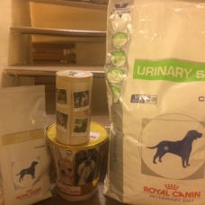 Image pour l'annonce Vends croquettes chien Royal Canin