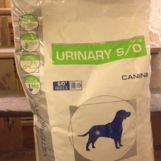 Image pour l'annonce Vends croquettes chien Royal Canin