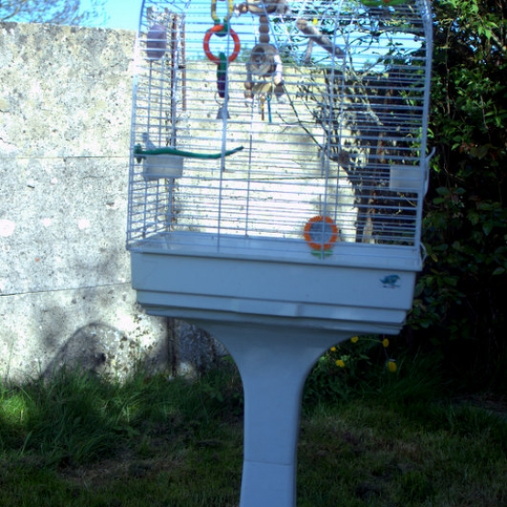 Image pour l'annonce cage  oiseaux