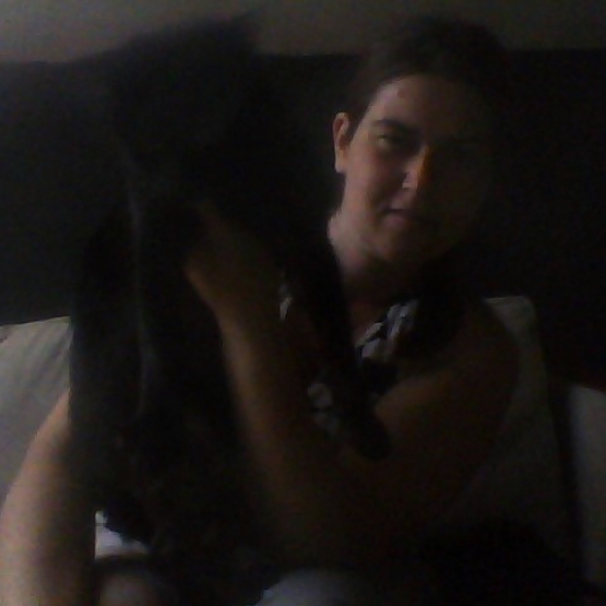 Image pour l'annonce donne chat noir
