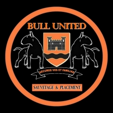 Image pour l'annonce Bull Terrier - Isorn