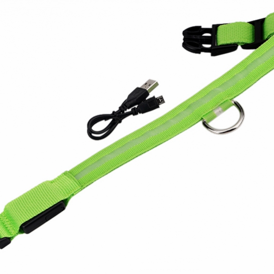Image pour l'annonce Collier a LED